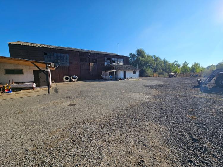 Oportunitate Teren deschidere la E87 Smardan Tulcea - 4