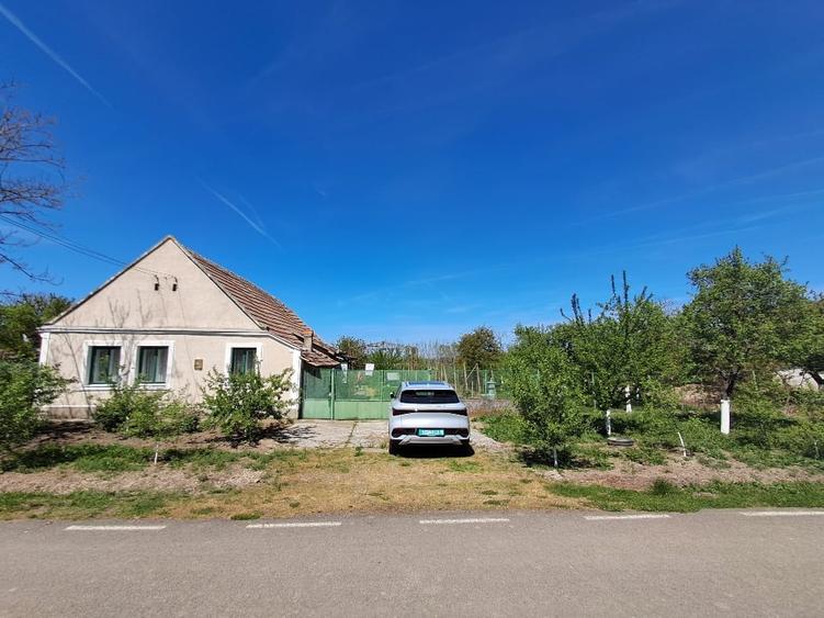 Valcani, proprietate cu casa taraneasca - 1