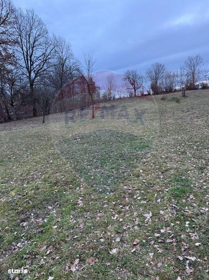 Teren intravilan cu priveliste de vanzare in Rus - 1