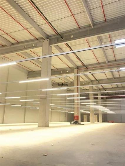 Spatiu Industrial - 4000 mp - Logistica - Productie - Depozitare - Distributie - 3
