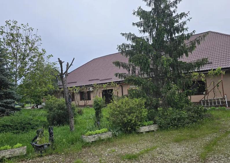 Proprietate Beharca teren 38464mp - 11