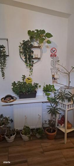 apartament in casa p+1, ultracentral - 7