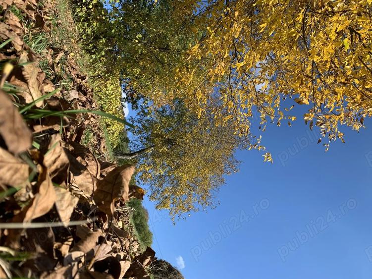 Casa si teren Silivasu de Campie - 4