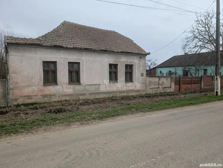 Casa de vanzare Petroman