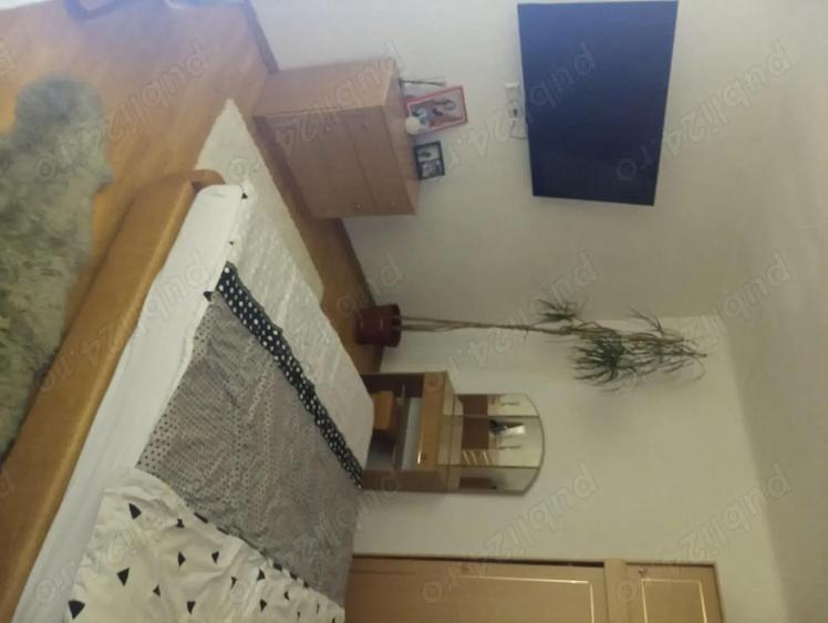 Casa renovata cu piscina - 9