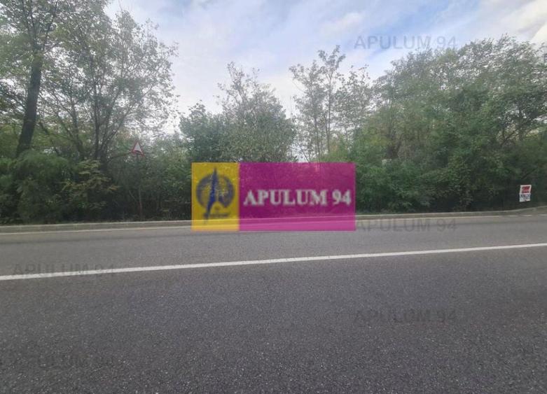 Teren de v&acirc;nzare &icirc;n C&acirc;mpina - 4