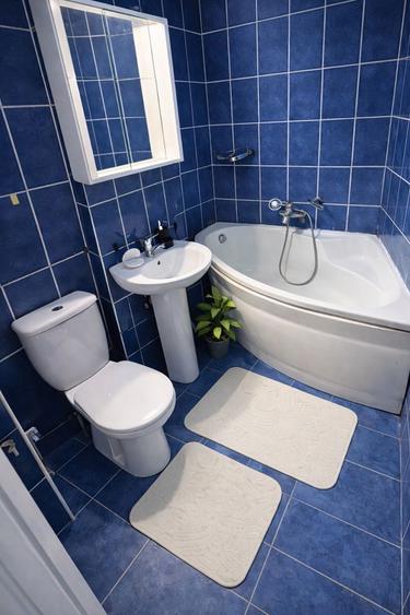 Inchiriez Spatiu Birouri Firma * Apartament 3 camere * Costesti AG - 6