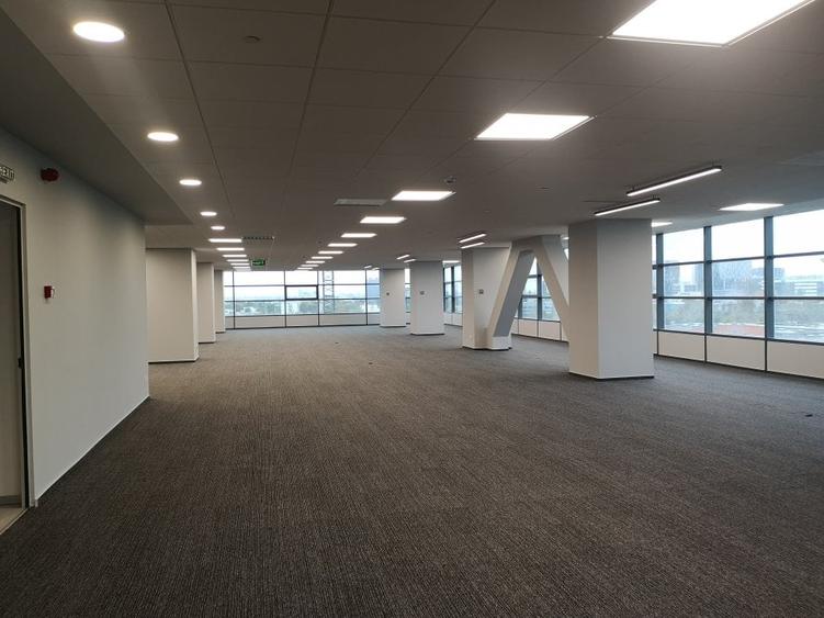 PIPERA - Porsche inchirieri/vanzari spatii Parter+Etajclasa A 200 mp-15.000 mp - 1