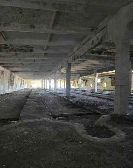 Hala , SC total 2048 MP , P+E, trifazic , teren 2000 mp, zona Borsului - 4