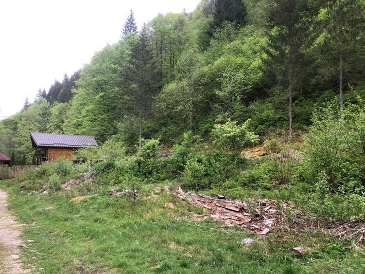 Teren pentru cabana Racatau - 2