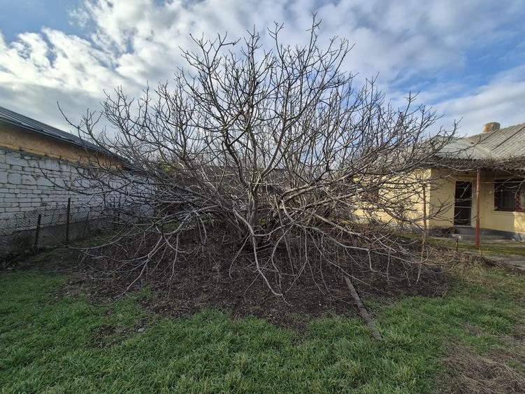 KM 5 CASA DEMOLABILA, TEREN 750 MP. IDEAL CONSTRUCTIE VILA, DUPLEX, REZIDENTIAL - 4