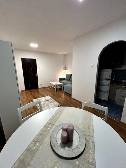 Garsonieră renovată, mobilă nouă, 3 min ParkLake, etaj 9 - 1