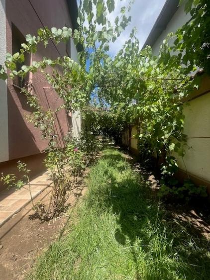 Duplex de vanzare,Domnesti - 21