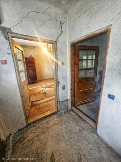 Exclusivitate! Casă cu teren generos în Sat Olteni, Com.Teișani - 54