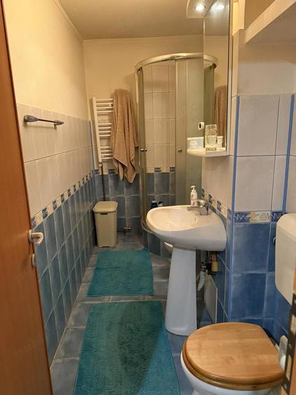 Garsoniera Str. Lt. Aurel Botea, Sector 3, ideala pentru locuit sau investitii - 6