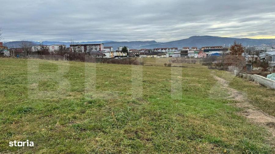 Teren intravilan de vanzare, 4.600 mp, zona Tarpiului din Bistrita - 5