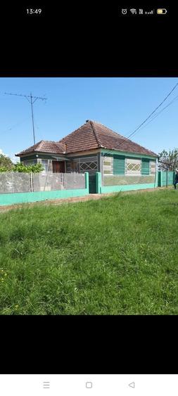 Vand casa cu gradina - 2