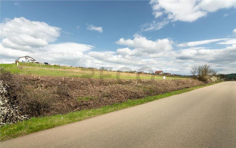 Teren intravilan Cetariu - 5