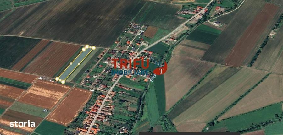 Teren intravilan de vanzare Sard ! - 3