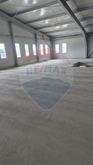 Spațiu industrial Balotesti - Tunari - Aeroport Otopeni - 5
