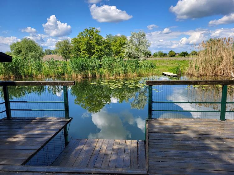 Dimineți pe ponton, seri la piscină – viața la Snagov. - 11