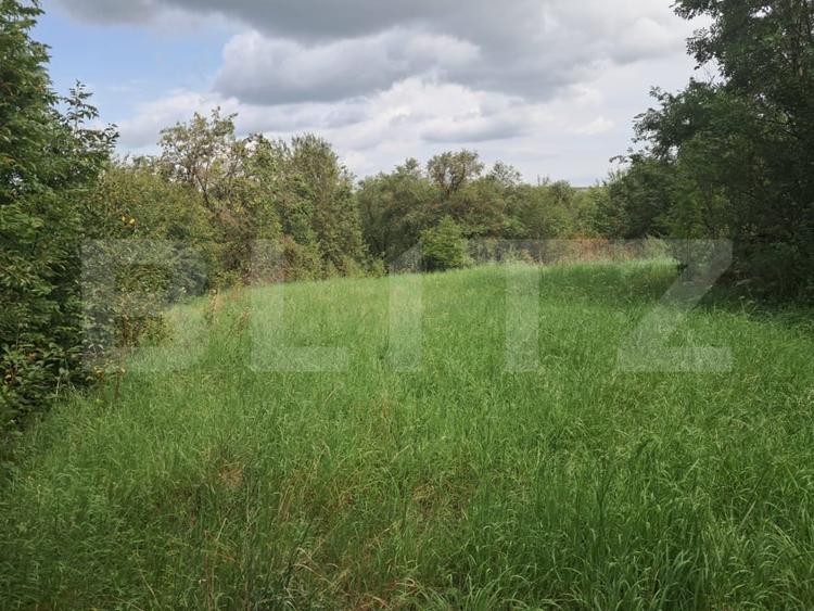 Teren Construcții intravilan de 2861 mp, în Tureni