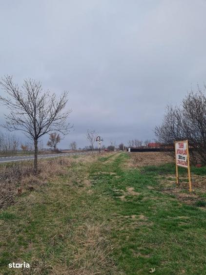 Teren de 5500 mp, în Albota