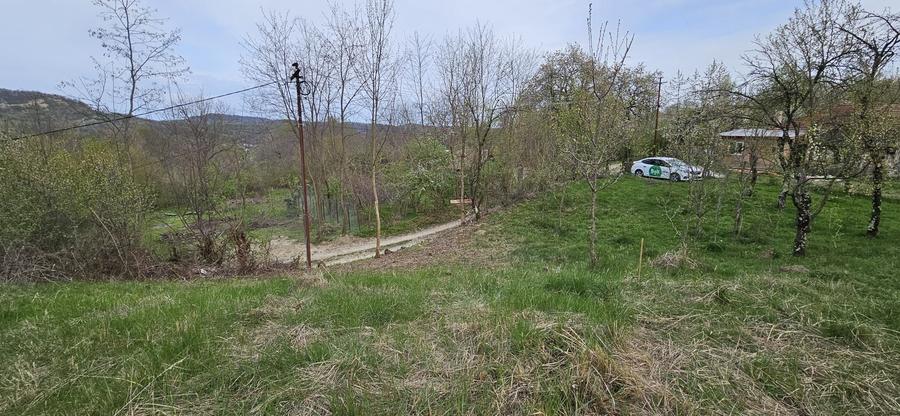 Teren de 3320 mp, în Provița de Sus
