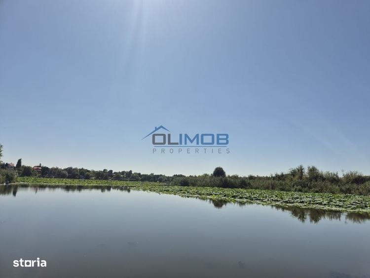 Izvorani - Teren cu deschidere generoasa la lacul Snagov - 9