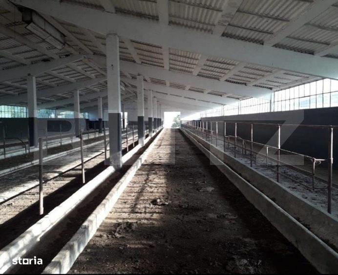 Spațiu comercial, în Central