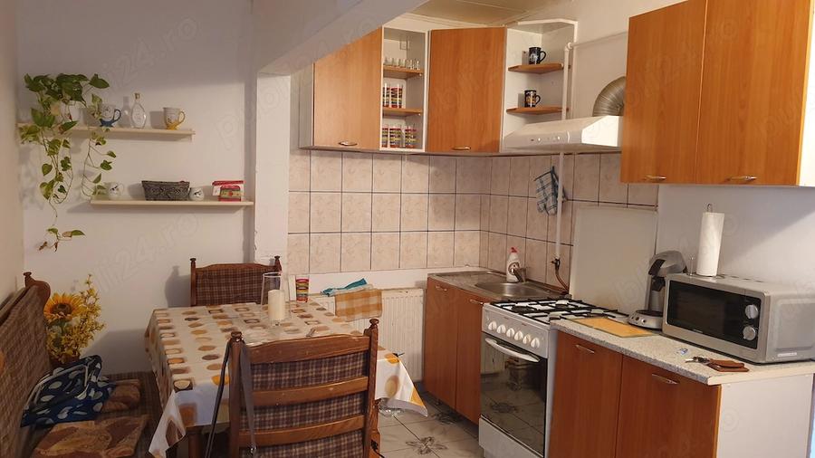 Apartament 2 camere de inchiriat Timisoara - 5