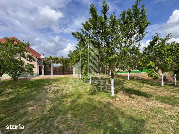 Casă cu Teren 1439 Mp în Central
