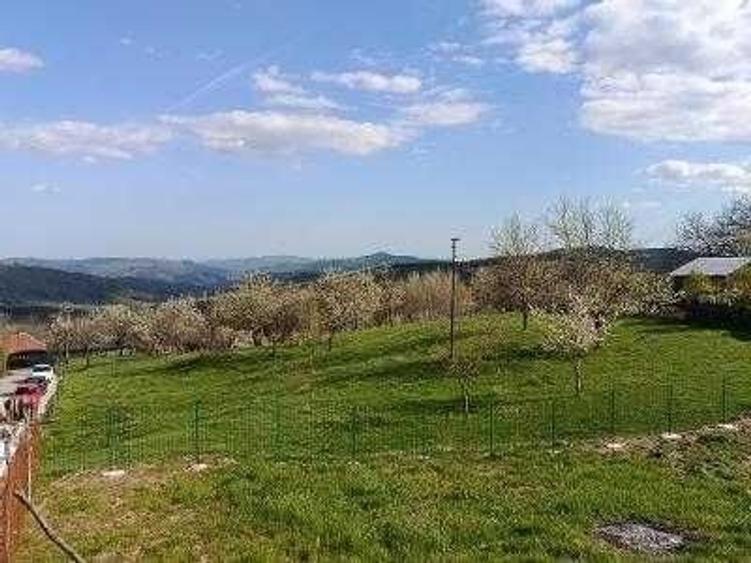 Teren de 2000 mp, în Talea