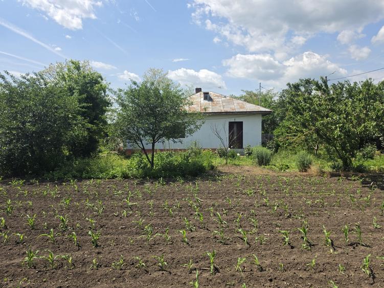 Casă individuală cu 3 camere cu Teren 2100 Mp în Dor Mărunt