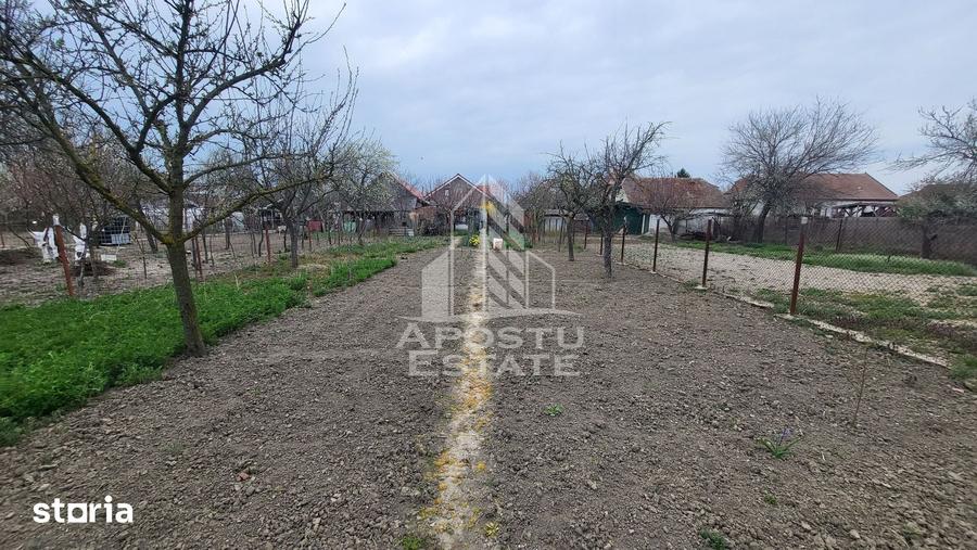 Casă cu 5 camere cu Teren 898 Mp în Șag