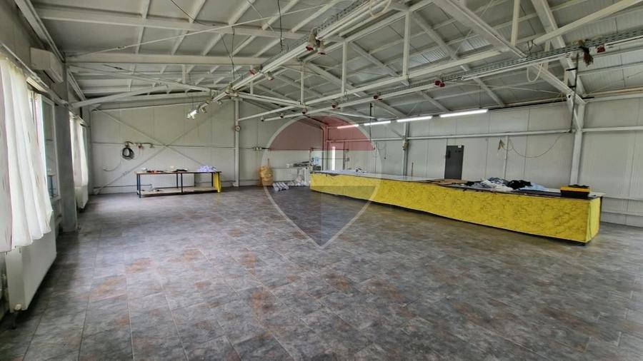 Spațiu industrial, de 200 mp, în Vișan
