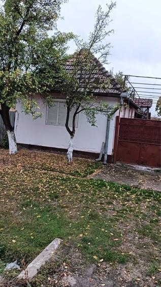 Casă cu 4 camere în Berechiu