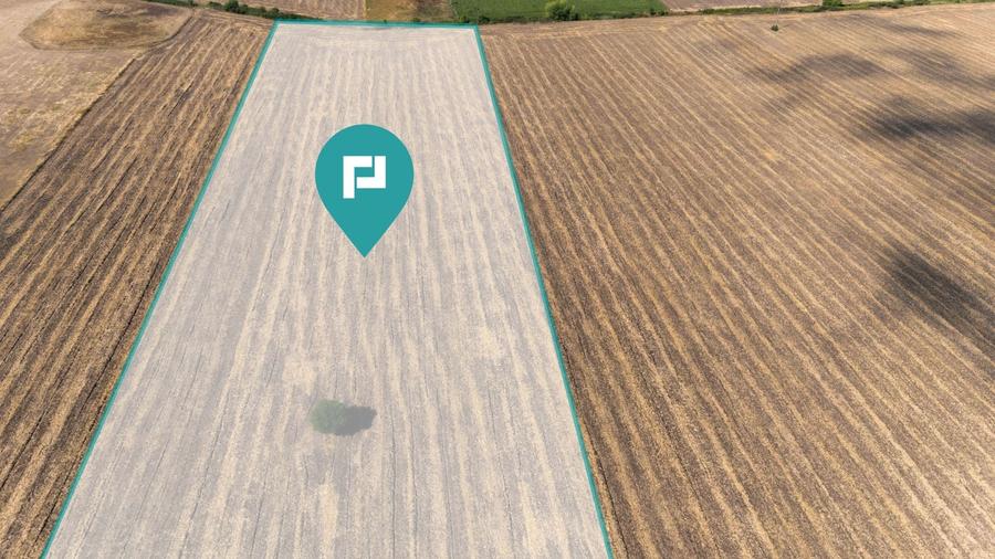 Teren agricol extravilan de 4345 mp, în Freidorf