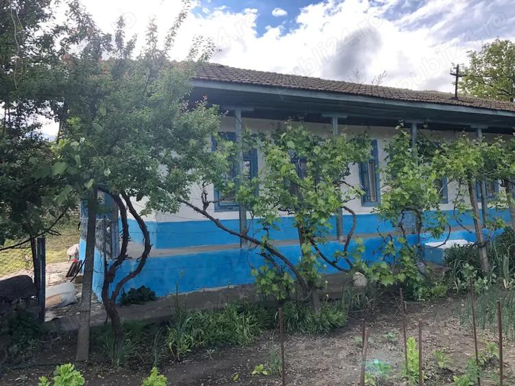 Vand casa in Loc. Petrosani, Jud. Constanta - 2