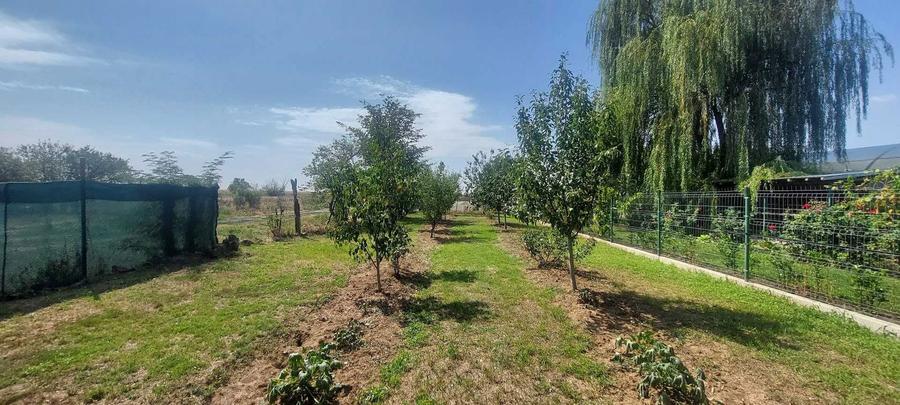 Casa 3 camere caramida, locuita in Baldana (Tartasesti) - 5