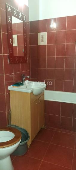 Timisoara, Romancierilor