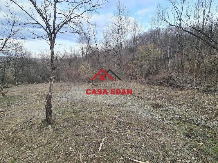 Teren extravilan in Provita--3448mp-12.000e - 8