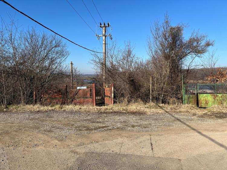 Gradistea- Ilfov, str. Nuferilor - 1000 mp - 8