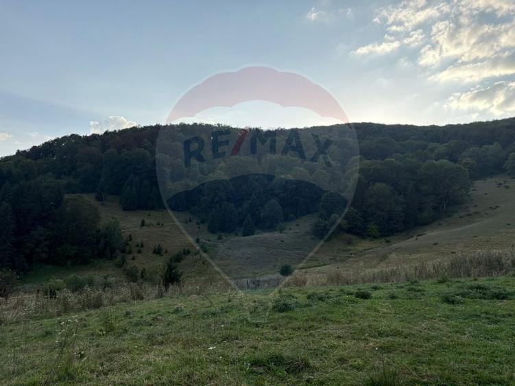 TEREN EXCLUSIV PENTRU INVESTIȚIE ÎN ZONĂ DE AGREMENT – BRAȘOV, DN 1E - 4