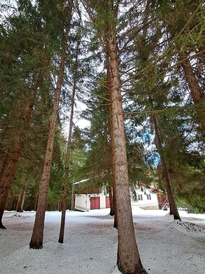 Casa vacanta Dealu Negru Cala?ele Padure - 5