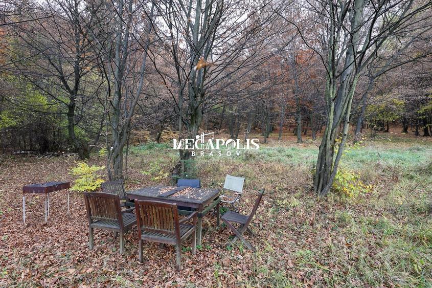 Ieșire direct in Pădure / Green Park Villas - 8