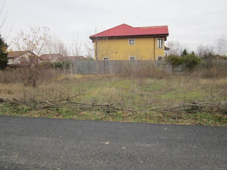 Drumul Targului-Stelelor - 17