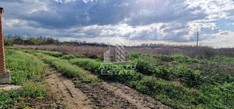 Teren intravilan , curent , apa , nr de casa Sacosu Turcesc - 2