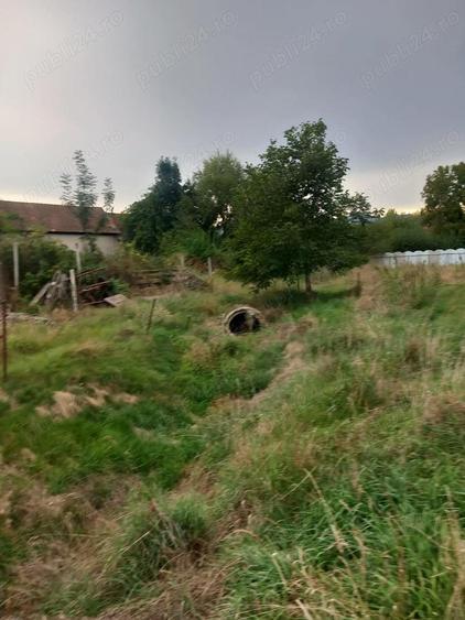 Teren cu Casa Sambata de Sus 3000m intravlian, conectat utilitati - 1