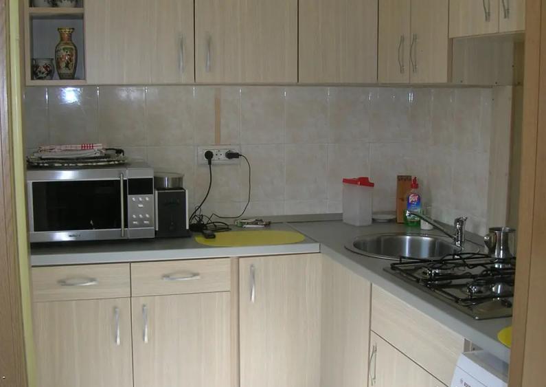 Apartament 1 camera central Podgoria - 8